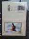 Delcampe - 1980/1991 Collection Duckstamps With ** Stamps, Fdc's Etc. In Approx 30 Presentation Packs, 2 Albums In Box - Andere & Zonder Classificatie