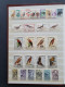 Delcampe - 1915c./1995 Collection Insects And Butterflies, Nicely Arranged Collection With A Large Number Of Mostly ** Sets And Min - Sammlungen (im Alben)