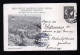 1 1/2 P. Bild Ganzsache "Pineapple Field - Ernte" - Gebraucht 1905 - Storia Postale