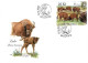 FDC 1126 - 9 Czech Republic Milovice 2021 Horse Bison Wisent Bos Primigenius Butterfly - FDC