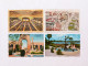 Lot Of 8 US Postcards - Collections & Lots
