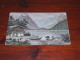 70952-                     OLD CARD - 1912, KOEIEN / COWS / KÜHE / VACHES -  KAUFMANN, VIERWALDSTÄTTERSEE - Schwytz