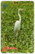 Antigua & Barbuda - Great Egret - 104CATC (with Ø) - Antigua And Barbuda