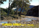 29-2-2024 (1 Y 32) Australia - SA - FLinders Range (river & Tree) - Flinders Ranges