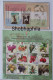 Shobhaphila's Indian Miniature  Year Pack Stamps 2023 ( 11 Nos.) - Nuovi