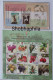 Shobhaphila's Indian Miniature  Year Pack Stamps 2023 ( 11 Nos.) - Nuevos