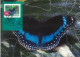 AUSTRALIA  : 2004, POSTAGE PRE PAID POSTCARD OF NATURE OF AUSTRALIA  RAINFOREST BUTTERFLIES WITH FD OF ISSUE STAMP. - Brieven En Documenten