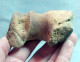 #LOT 08 - Teilweiser HUMERUS Aus Dem Größten Knochen Von PFERD Fossil Pleistozän (Italien) - Fossiles