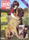 REVUE CHIEN N° 67 De 1982 Animaux Chiens - Animali