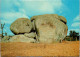 6-3-2025 (2 Y 16) Australia - NSW -  Armidale - Thunderbolt's Rock (carving) - Other & Unclassified