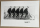 1897 THE OPEL BROTHERS - 15 X 10 Cm. (REPRO PHOTO ! Zie Beschrijving, Voir Description, See Description) ! - Ciclismo