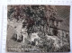 Das 1000 Jährige Putlitz - Blick Auf Marktplatz Mit Friedenseiche - Putlitz