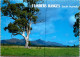 9-3-2024 (2 Y 31) Australia - SA - Flinders Range (tree) - Flinders Ranges