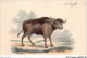 AIDP2-TAUREAUX-0101 - Le Buffle  - Bull