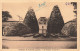 FRANCE - Château De Biaudos - Vu Du Parc - Carte Postale Ancienne - Autres & Non Classés