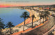 FRANCE - Nice - Vue Générale Prise Du Château - Vue D'une Plage - Les Bords - Carte Postale Ancienne - Andere & Zonder Classificatie