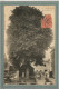 CPA (76) CANY - Thème : ARBRE - Aspect Du Marronnier En 1905 - Cany Barville