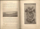 Delcampe - Livre "LES CANARDS SAUVAGES ET LEURS CONGENERES". EO 1908. LOUIS TERGNIER & FERNAND MASSE. 751 Pages. - Chasse/Pêche