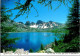 14-3-2024 (3 Y 1)  France  (posted 2010) - Lac D'Allos (lac Et Arbres) - Arbres