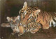 Animaux - Fauves - Tigre - Tiger - Carte Russe - CPM - Carte Neuve - Voir Scans Recto-Verso - Tiger