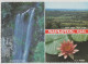 Australia QUEENSLAND QLD Waterfall Lily View Of MAPLETON Wren 435 Multiview Postcard C1970s - Sunshine Coast