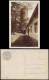 Ansichtskarte Collm-Wermsdorf Collmberg, Turm, Restaurant 1930 - Wermsdorf