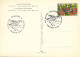 1998 , ED. 523 - NATURALEZA , PÁJAROS , AVES , PINSÁ COMÚ  , MAT. PRIMER DIA , FDC , ANDORRA FRANCESA - FDC