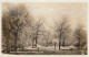 489747Sneek, Wilhelminapark In Winterpracht, (FOTOKAART 31-12-1945)  - Sneek