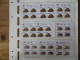 Delcampe - Südafrika 1100-4 Vögel Tiere Spezial Lot Mit Blöcken Der Verschied. Druck Papier - Storia Postale