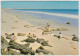 WESTERN AUSTRALIA WA Cable Beach BROOME ACP 1163 Steinward Postcard C1960s - Broome