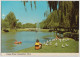 WESTERN AUSTRALIA WA Vasse River BUSSELTON Murray Views W1A Postcard 1989 Pmk 39c Stamp - Autres & Non Classés