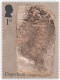 Great Britain UK, 2024, Prehistoric Animals,Mary Anning,Fossil Hunter, Natural History Museum,Set Of 4v, MS MNH (*) - Unused Stamps