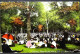 ► CENTRAL PARK Near Mall ANimation Rassemblement    Vintage Card 1910s     - NEW YORK CITY - Central Park