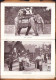 Delcampe - A Budapesti állatkert útmutatója, 1917, Budapest 714SPN - Oude Boeken