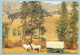 Sheepherding Wagon At Base Of Boulder Mountain Near SUN VALLEY - Sonstige & Ohne Zuordnung