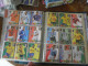 Delcampe - Panini Album + Autocollants  South Africa 2010 - Edition Anglaise