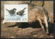 Martin Mörck. Denmark 1995.  Michel 1086 On Illustrated Card, Special Cancel. Signed. - Covers & Documents