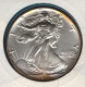 USA NUMISLETTER 1 DOLLAR 1991 American Silver Eagle Silver 0.999 Argent KM# 273 - Non Classés