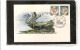 Delcampe - 16672 - SERIE COMPLETA DI 11 CARTOLINE EMESSE DALLA AMM.NE DELLE POSTE E ANNULLATE IL  2.1.1987 - Verzamelingen & Kavels