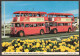 Victoria - British Columbia, Canada - Double-decker London Buses - Victoria