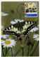 Maximumkarte 2024 Naturmuster - Schmetterling - Maximum Cards