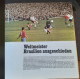 AH07 - ALBUM ELF - FUSSBALL WELTMEISTERSCHAT 1966 - Livres