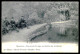 MONCORVO- Uma Borda Do Lago, Na Quinta Das Avelleiras. ( Editor Alberto Ferreira Nº 12) Carte Postale - Bragança