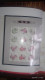 Delcampe - CHINA 2013-1 2013-31 China Whole Year Of Snake FULL 32 Set Stamps + 6 S/S+4 Sheetlet Include The Album - Volledig Jaar