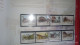 Delcampe - CHINA 2013-1 2013-31 China Whole Year Of Snake FULL 32 Set Stamps + 6 S/S+4 Sheetlet Include The Album - Volledig Jaar