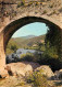 34 - Ganges - Le Vieux Pont Sur L'Hérault - CPM - Carte Neuve - Voir Scans Recto-Verso - Ganges