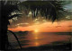 Antilles - Coucher De Soleil - CPM - Voir Scans Recto-Verso - Other & Unclassified