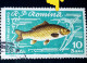 Errors Romania 1960  Mi 1927, FISHES, Crap Printed With Full Circle, Dot, Next To The Letter "ă" Used Stamp - Plaatfouten En Curiosa