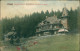 Rehefeld-Altenberg (Erzgebirge) Jagdschloss (handcoloriert) 1908  - Rehefeld