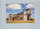 Maillezais (85) : Les Ruines De L'abbaye Saint Pierre - Maillezais